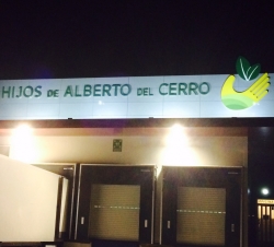 ALBERTO DEL CERRO NOCHE