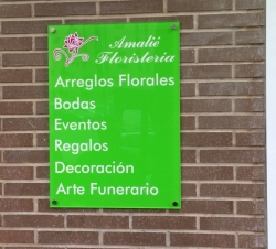 AMALIE PLACA